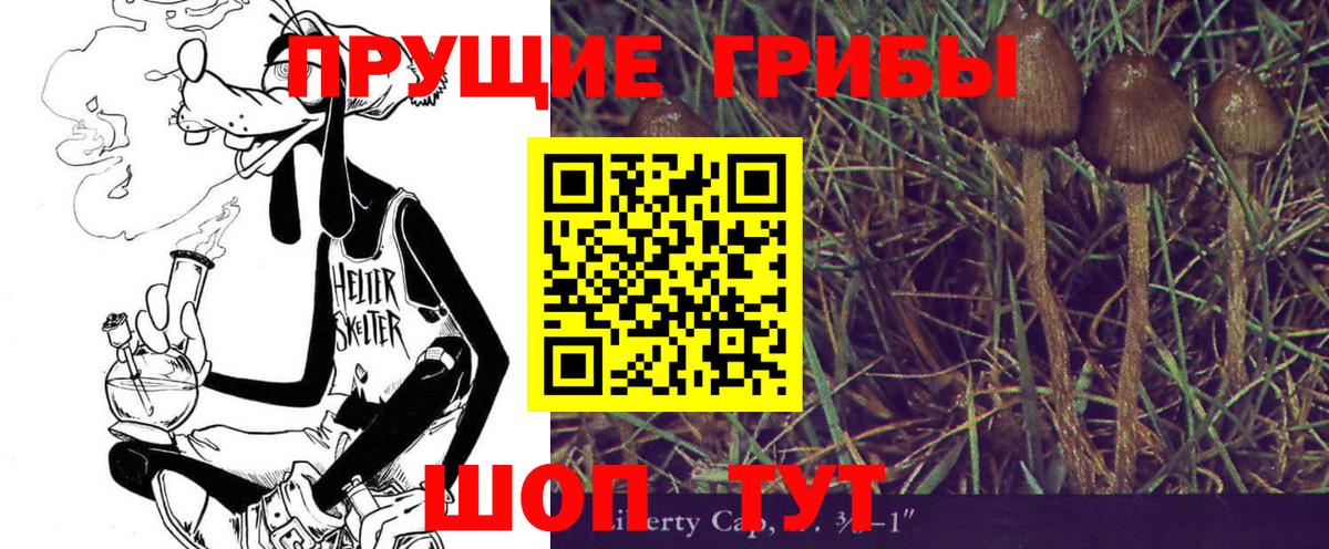 Псилоцибиновые грибы Psilocybe Калуга
