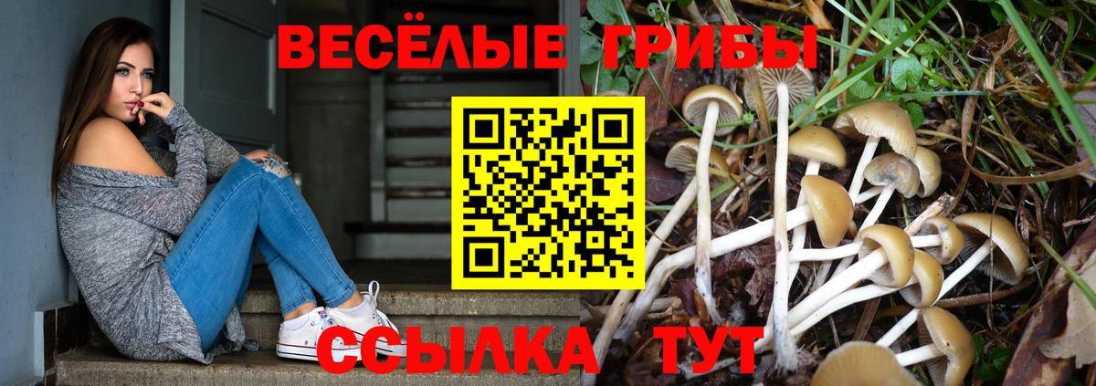 Псилоцибиновые грибы Psilocybe  хочу наркоту  Калуга  Вход с VPN  Галлюциногенные грибы Cubensis 